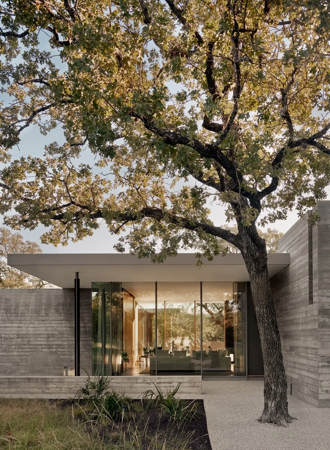 Cuernavaca, a concrete and glass Risinger Build home in Austin, framed by oaks