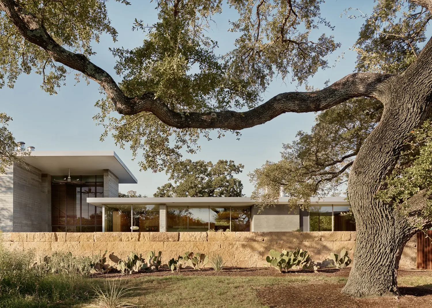 Exterior beneath the live oak, Cuernavaca by Risinger Build, Austin, TX