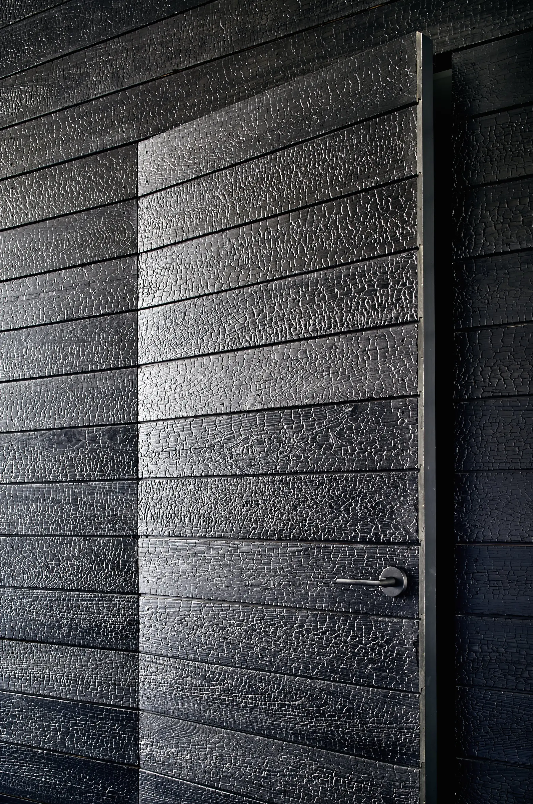 Door detail, Modern Texas Prefab by Risinger Build, Austin, TX